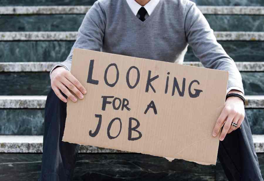a person look for a job