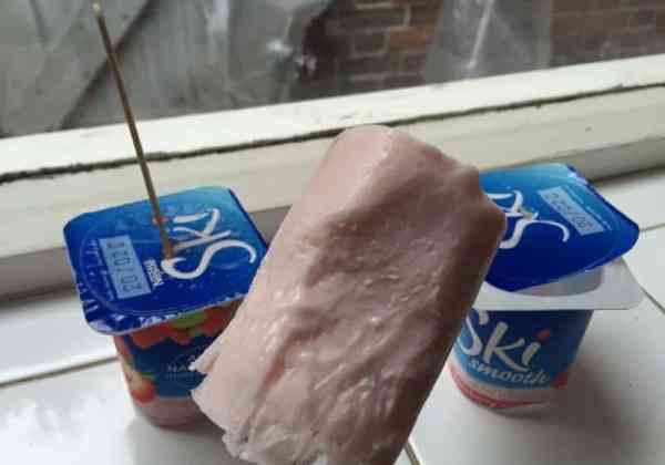 yoghurt lollies 1